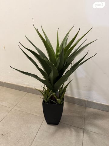עציץ מפלסטיק