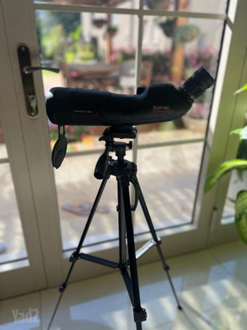 Bushnell  20-60x65