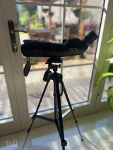 Bushnell  20-60x65