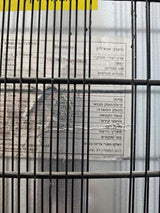 שני מקפיאים