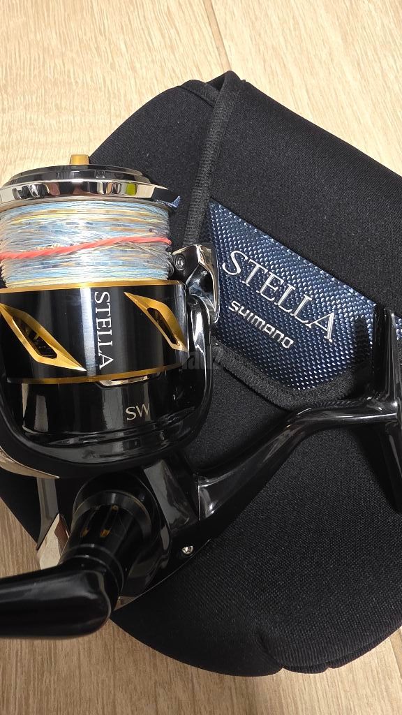 Shimano Stella SW 6000XG