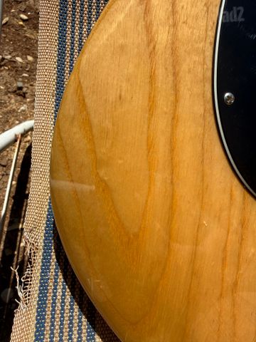 גיטרה בס Sterling ray 35