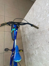 אופנים