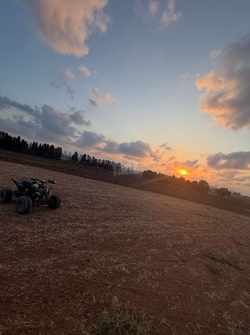 טרקטורון חשמלי