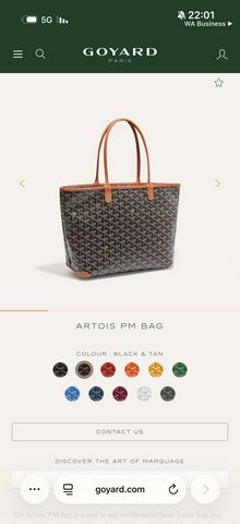 תיק של Goyard חדש