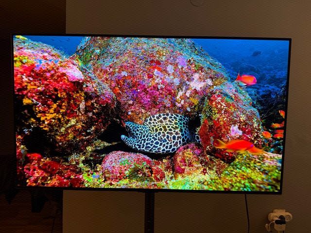 LG OLED 48