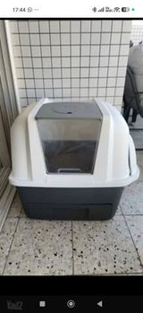 שירותים חתול