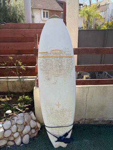 גלשן