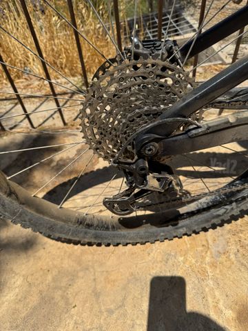 orbea rise M20 carbon