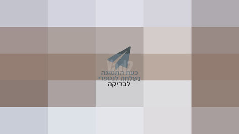 מארה סטדיו