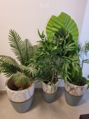 3 וזאת