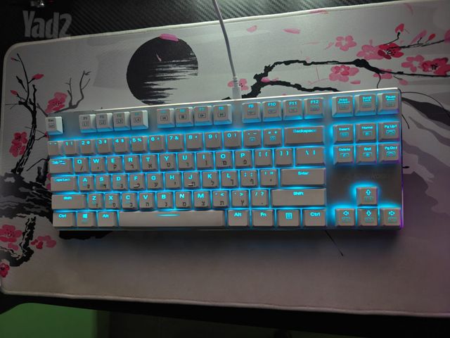 Sharkoon Purewriter TKL RGB
