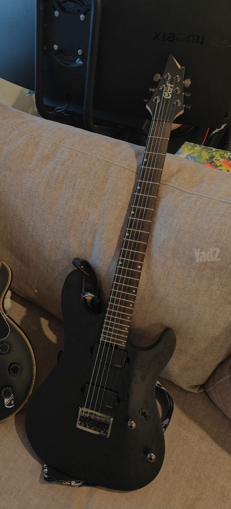 Cort kx500 etched