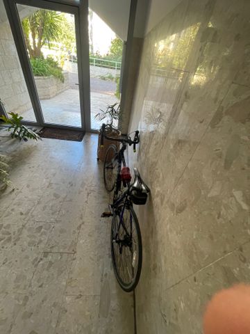 אופני כביש WHEELER