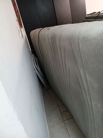 שלמה דוגה