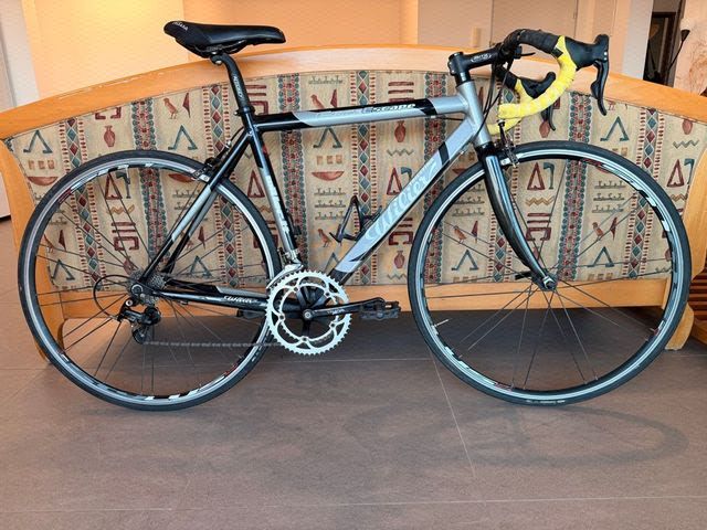 Wilier Escape מידה 52 (M)