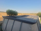 בריכת שחיה summer waves