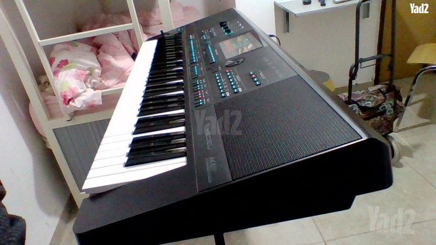 אורגן מדלי AKX10