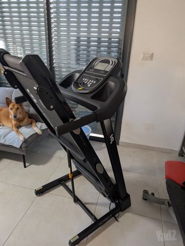 הליכון vo2