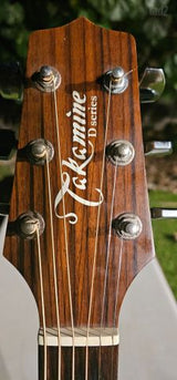 Takamine d51c