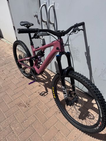 Levo SL 2025