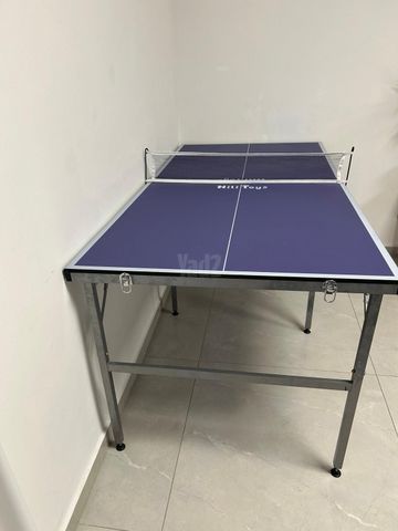 שולחן פינג פונג