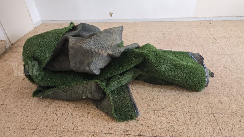 דשא