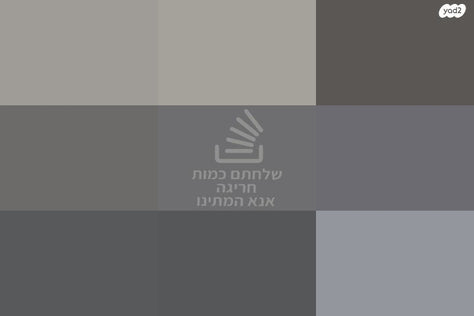 אורגן