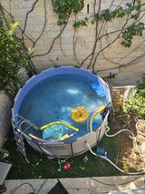 בריכה