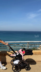 עגלת סייבקס