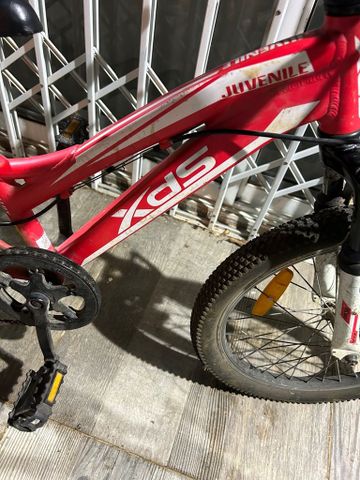 אופנים xds