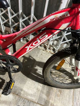 אופנים xds