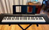 Yamaha Piaggero NP-15