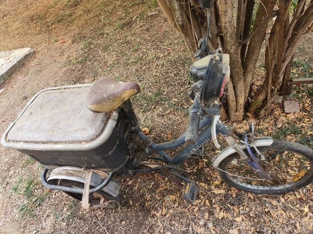 אופניים