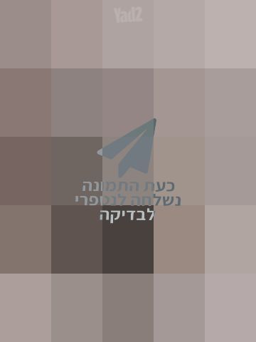 עגלת תינוק