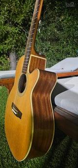 Takamine d51c