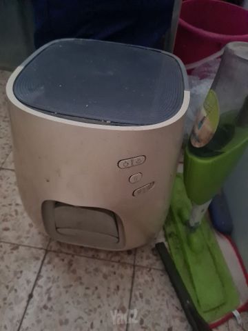 תמי 4
