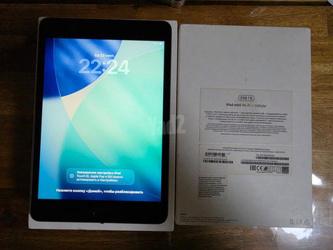 256GB  Apple iPad Mini 5 7.9