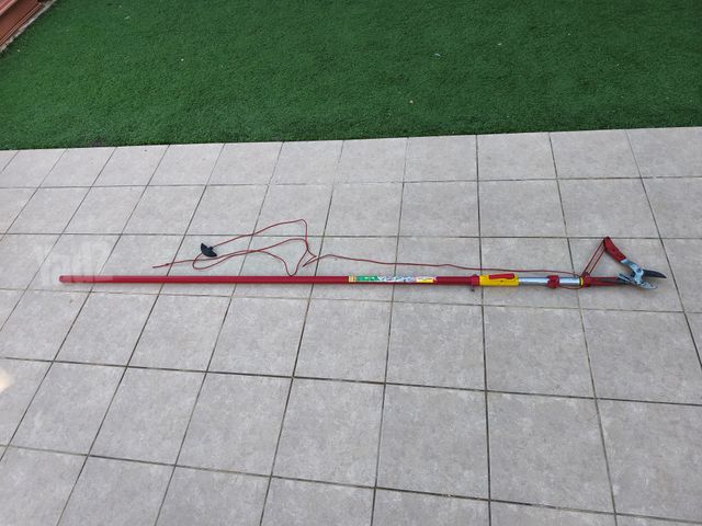 מזמרת גובה