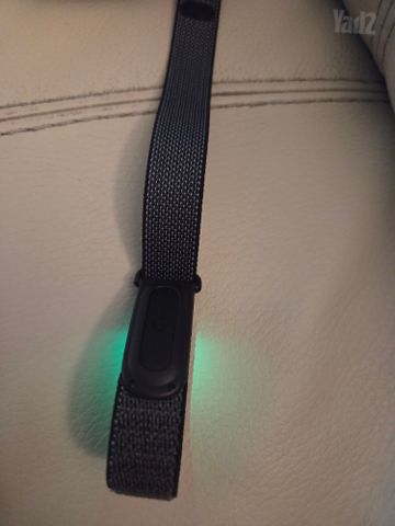 Fitbit air