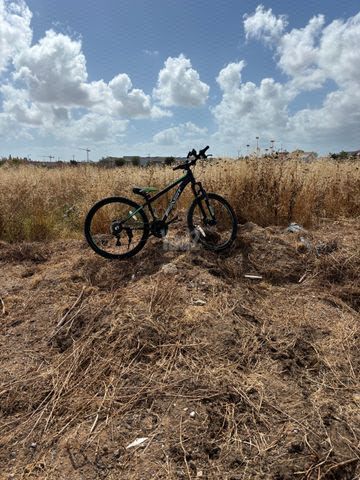 אופני עיר בזול