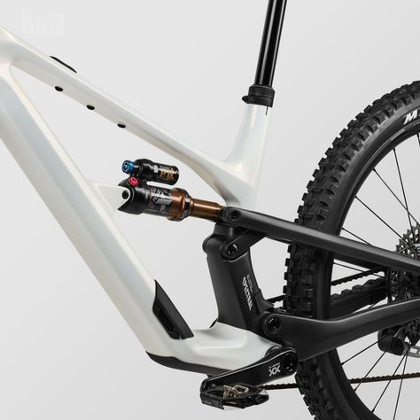 Canyon Spectral CF LTD Mullet