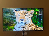 LG OLED 48