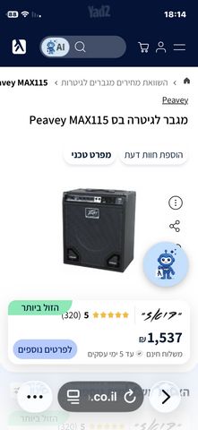 מגבר בס