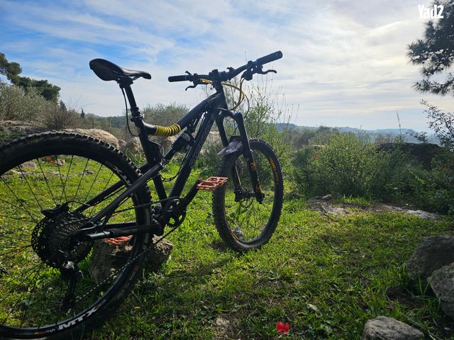 santa cruz