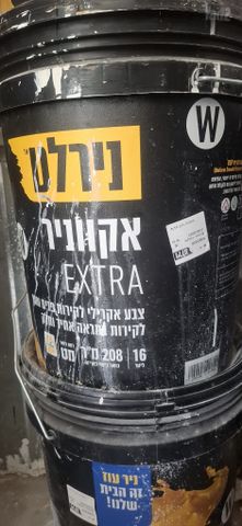 צבע לקיר