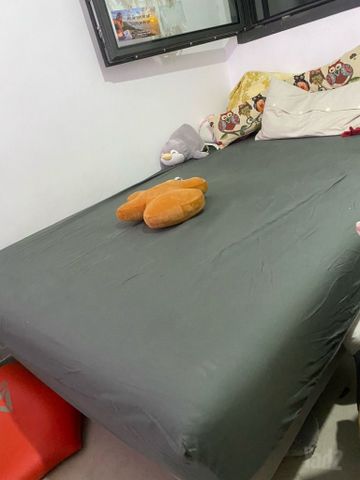 מיטת נוער