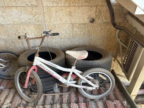 אופנים