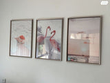 תמונות / מסגרות 50×70