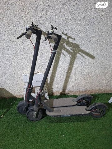 קוקינט